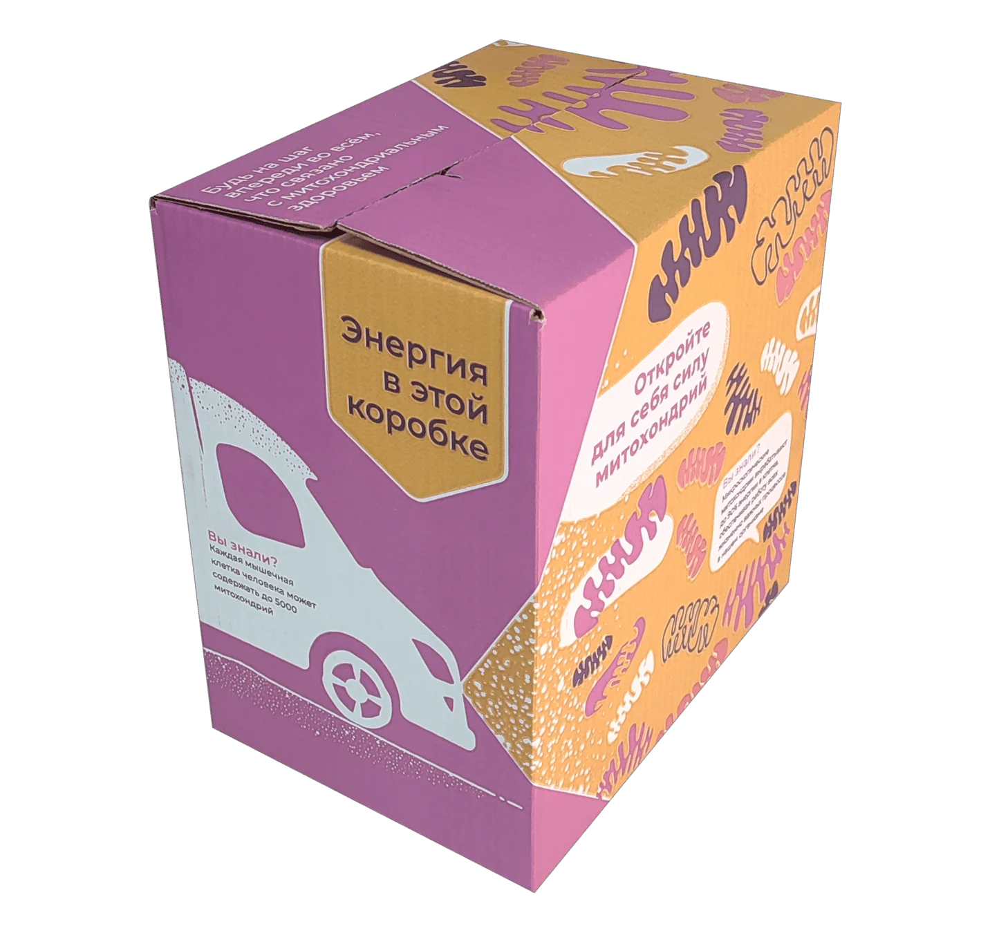 mitoxondrii_portfolio_bg5